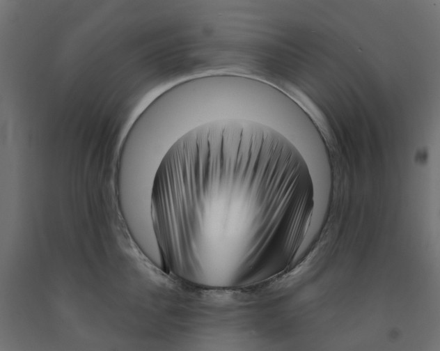 X0000091980956200710041107