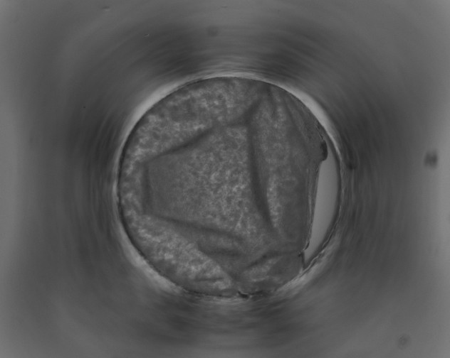 X0000091980957200710041107