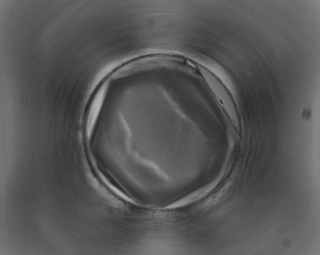 X0000091980958200710041107