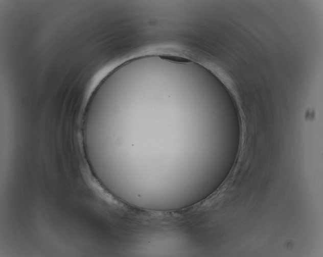 X0000091980960200710041107