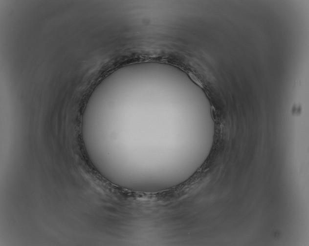 X0000091980961200710041106