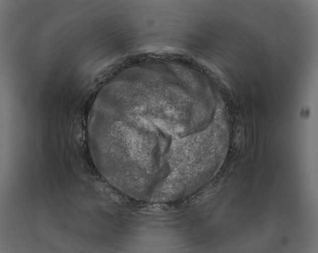 X0000091980966200710041106