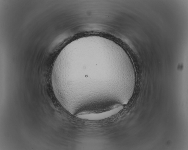 X0000091980967200710041106