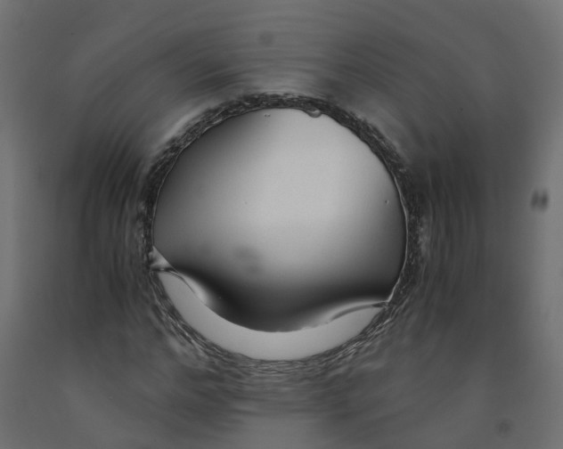 X0000091980968200710041106