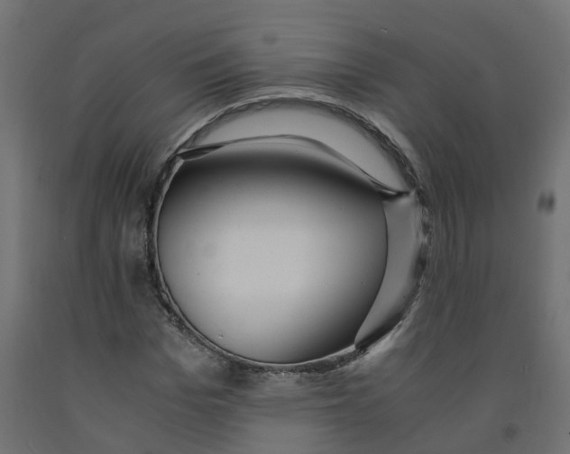 X0000091980969200710041106