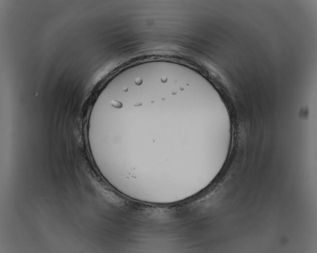 X0000091980970200710041106