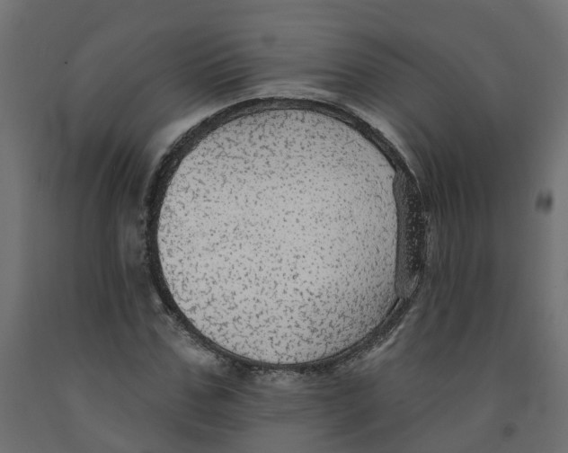 X0000091980971200710041106