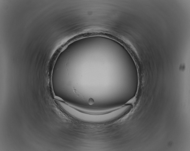 X0000091980973200710041106