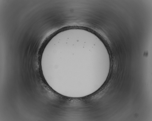 X0000091980974200710041106