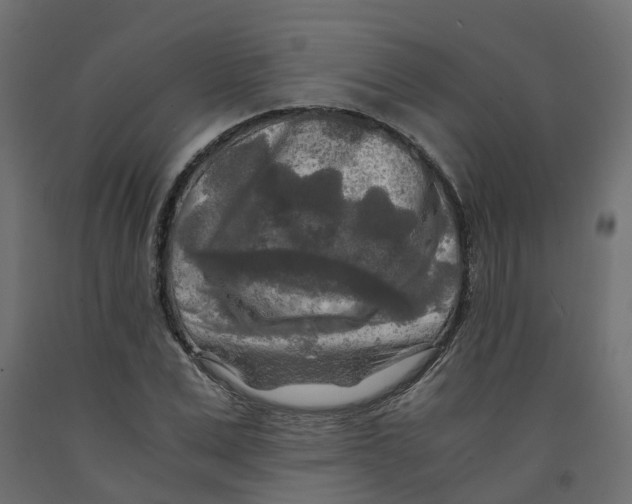 X0000091980975200710041106