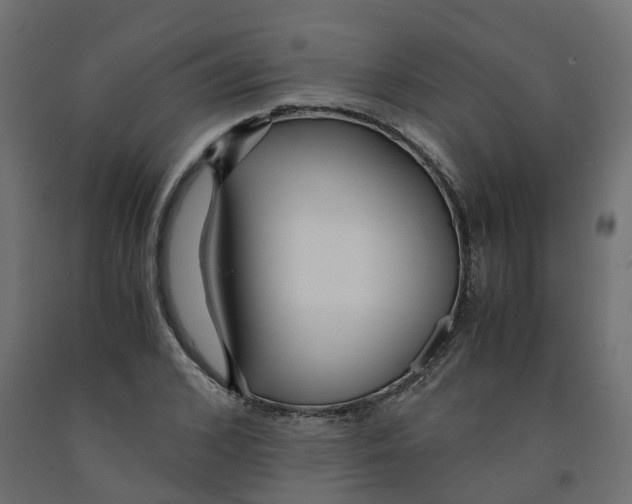 X0000091980976200710041106