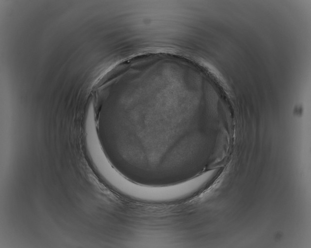 X0000091980977200710041106