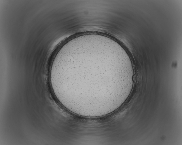 X0000091980979200710041106