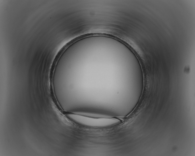 X0000091980980200710041106