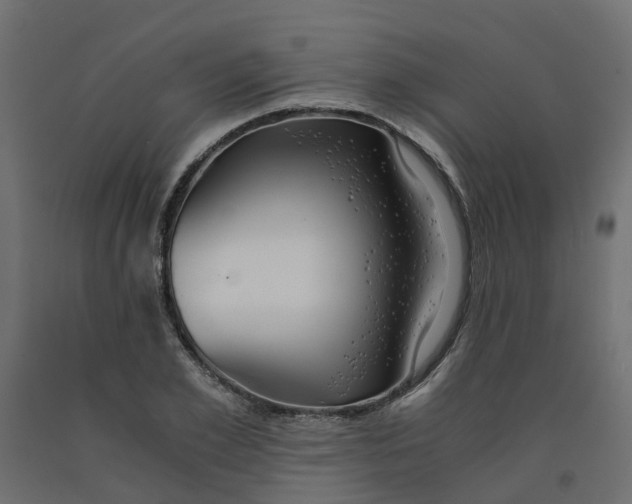 X0000091980981200710041106