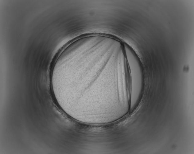 X0000091980982200710041106