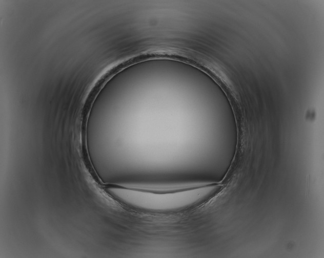 X0000091980984200710041106