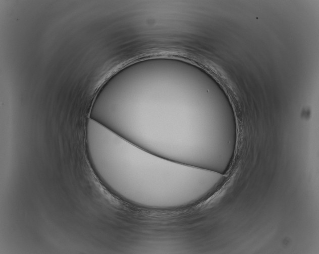 X0000091980985200710041106