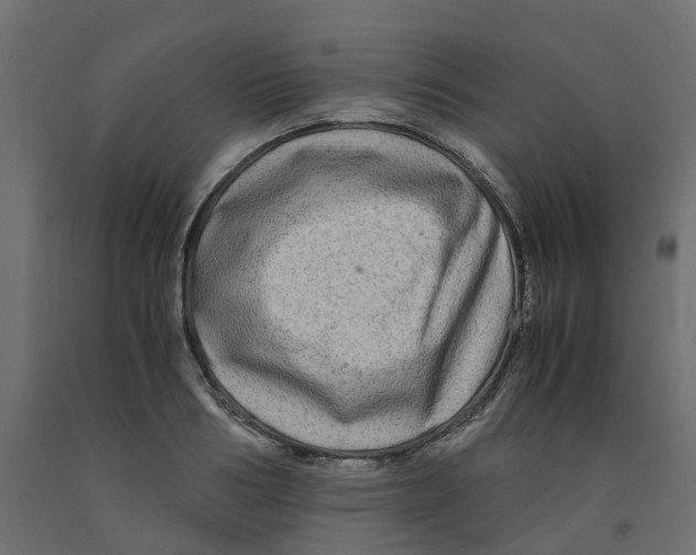 X0000091980986200710041106