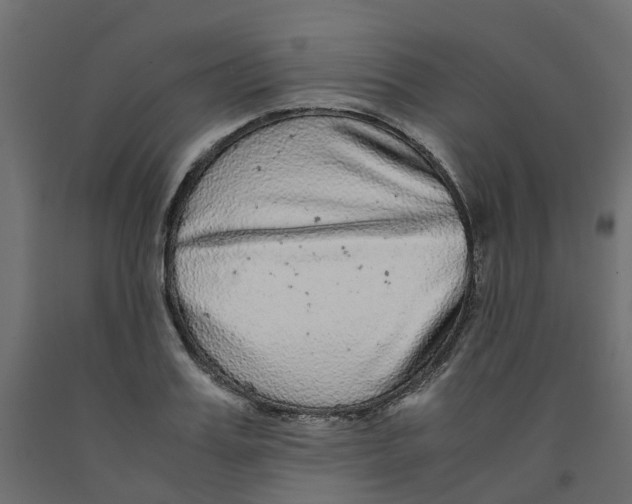 X0000091980987200710041106