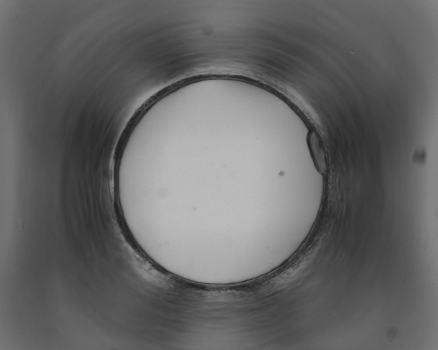 X0000091980988200710041106