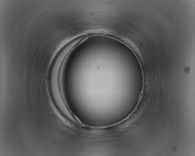 X0000091980989200710041106