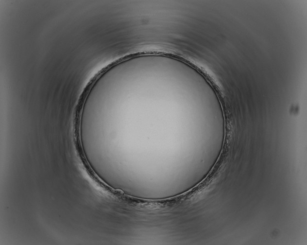 X0000091980991200710041106