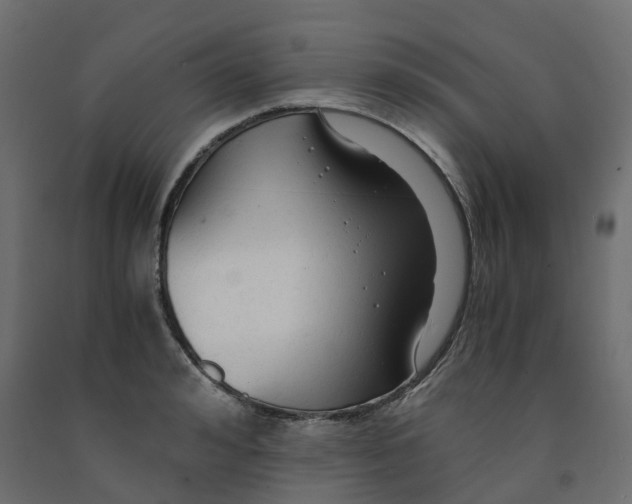X0000091980992200710041106
