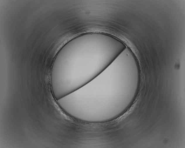 X0000091980993200710041106