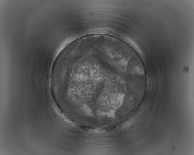 X0000091980994200710041106