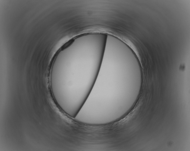 X0000091980997200710041106
