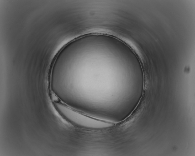 X0000091980999200710041106