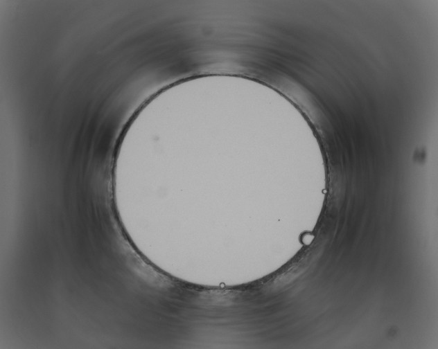 X0000091981000200710041106