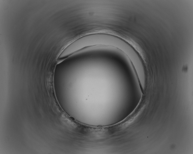 X0000091981001200710041106