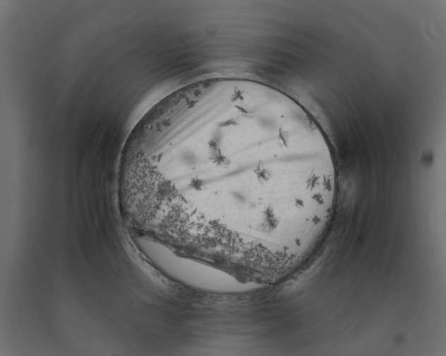 X0000091981002200710041106