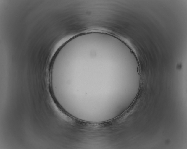 X0000091981003200710041106