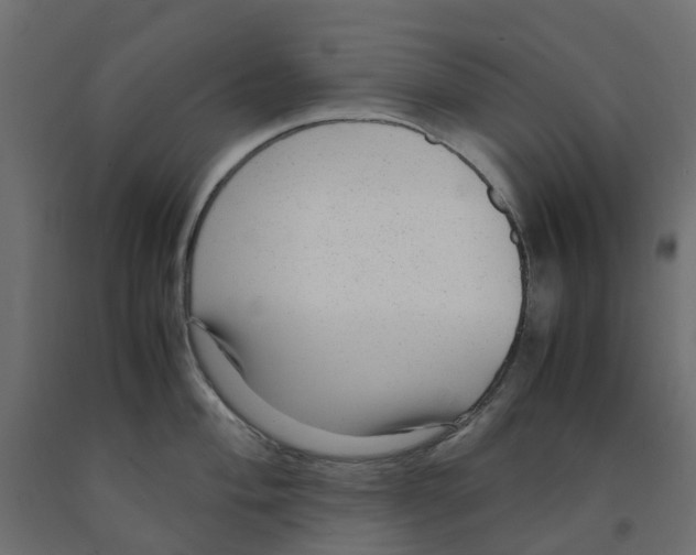 X0000091981004200710041106