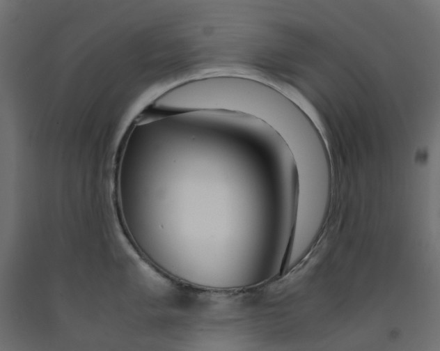 X0000091981005200710041106