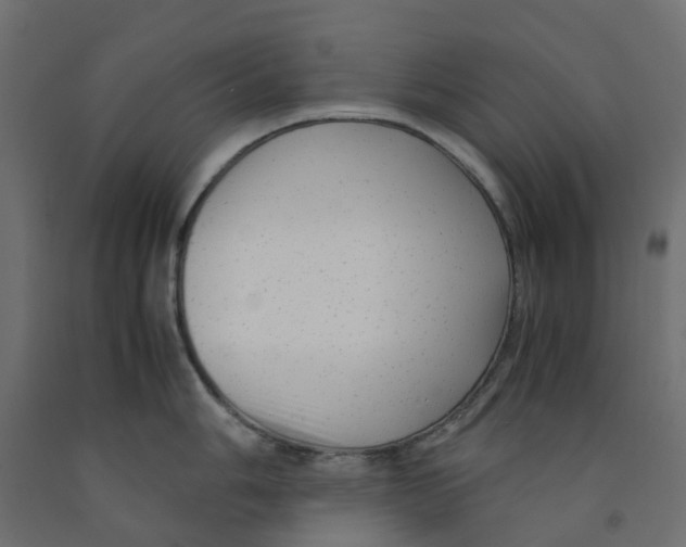 X0000091981006200710041106
