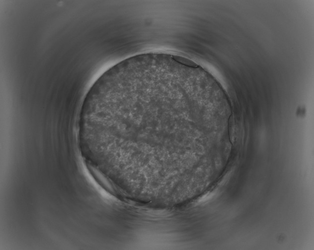 X0000091981007200710041106
