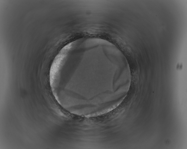 X0000091981009200710041105