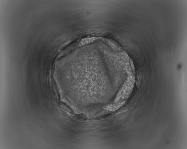 X0000091981010200710041105