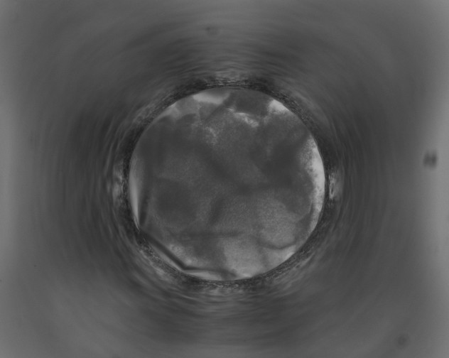 X0000091981011200710041105
