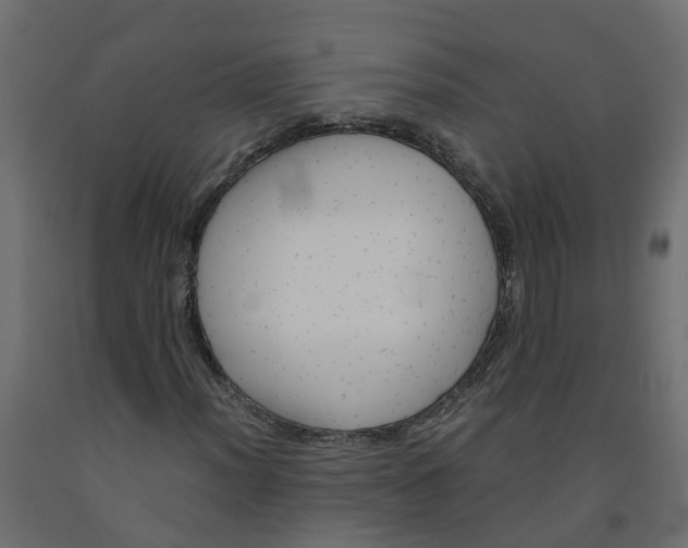 X0000091981012200710041105