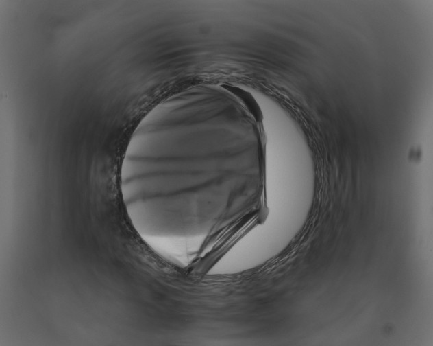 X0000091981013200710041105