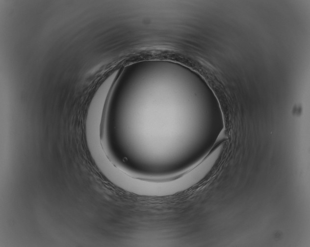X0000091981014200710041105