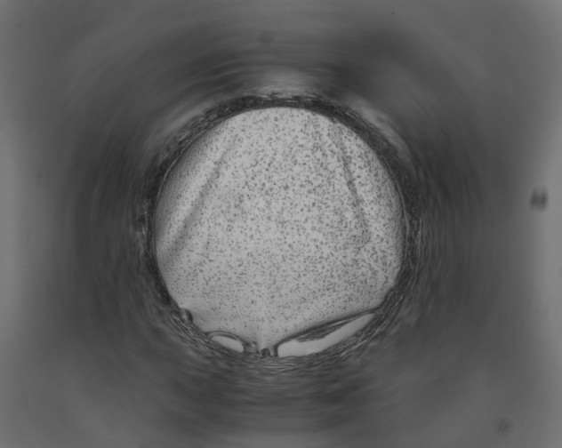 X0000091981015200710041105