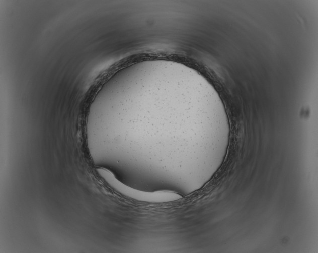 X0000091981016200710041105