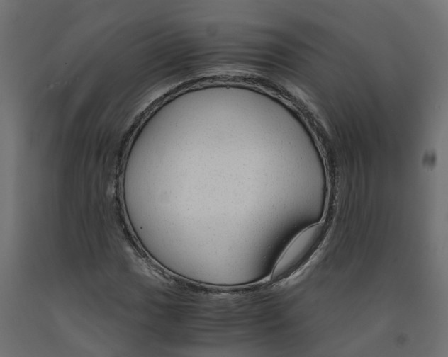 X0000091981017200710041105