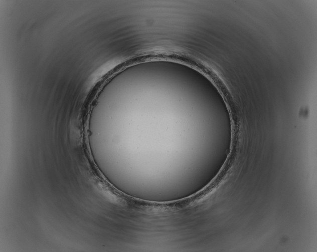 X0000091981018200710041105